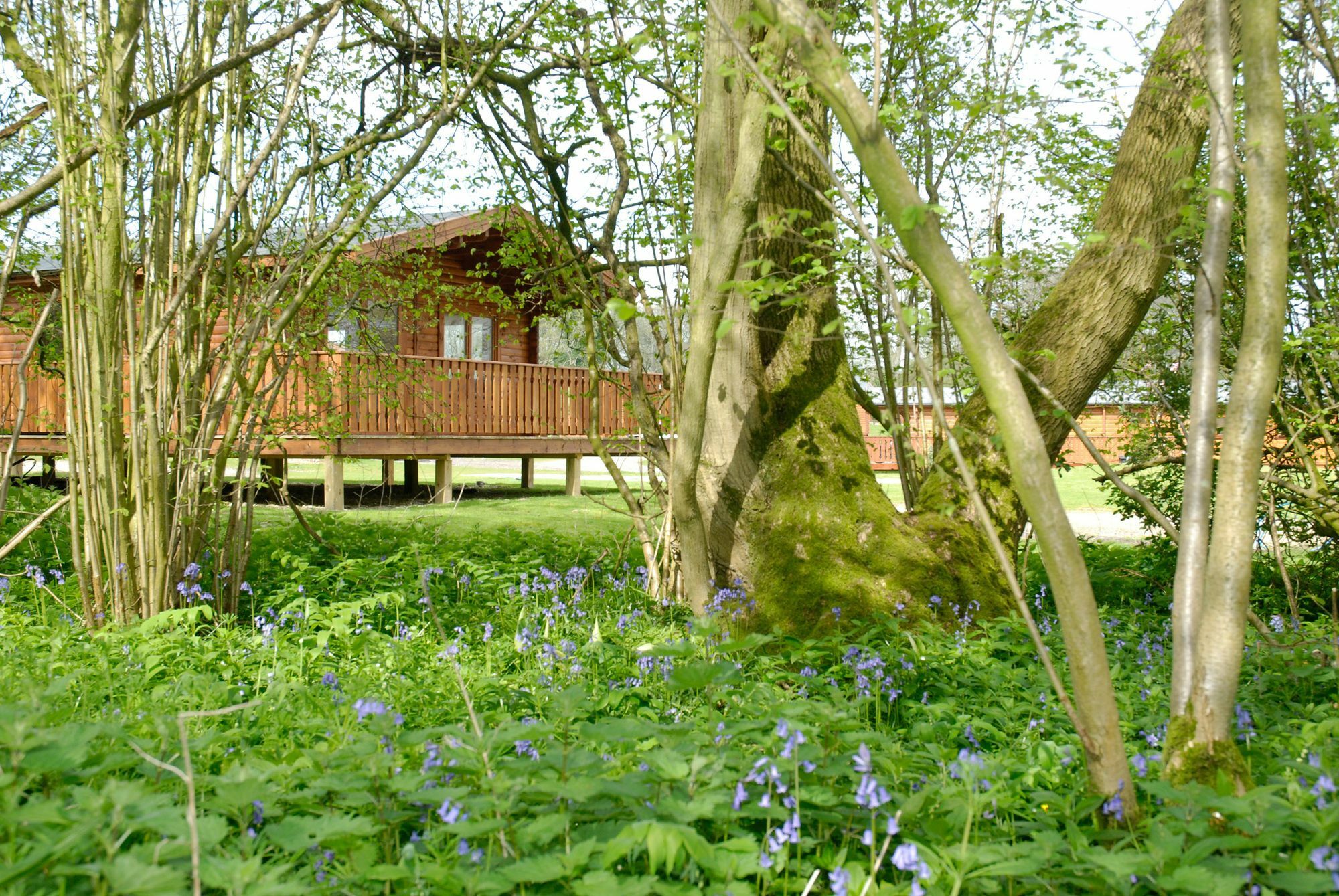 South Winchester Lodges Exterior foto